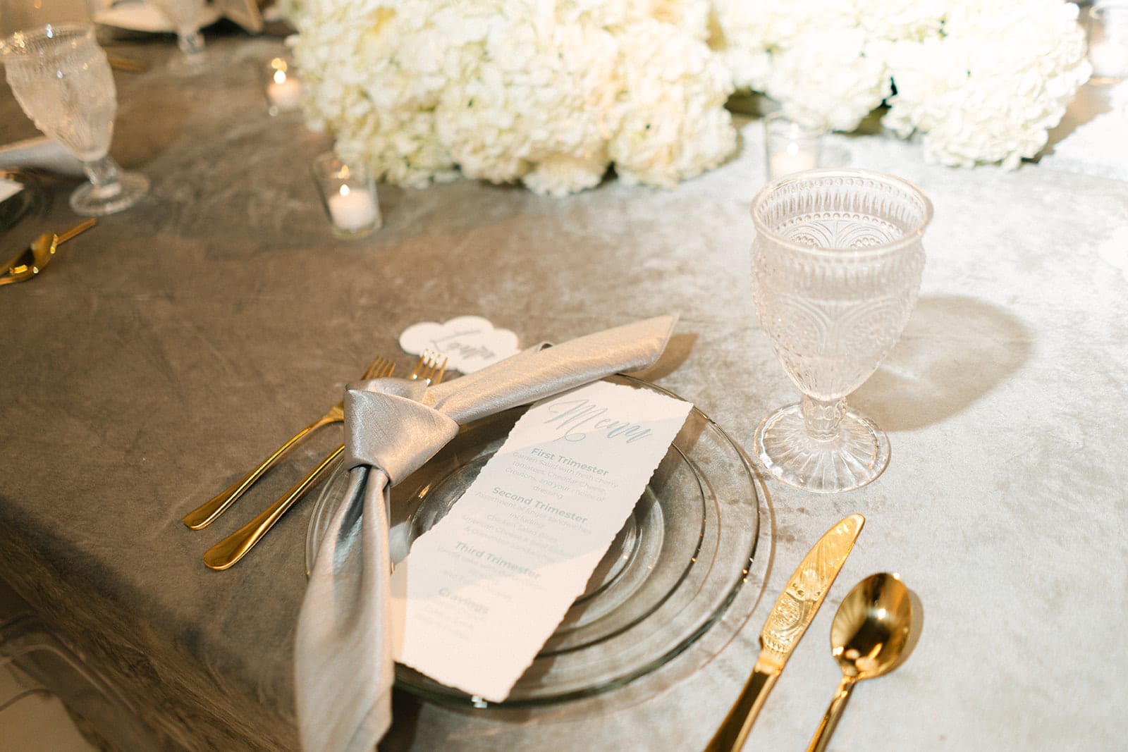 Glacier Grey Velvet at a Windy City Linen event